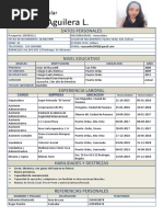 Curriculum Rayvic2