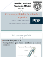 Venas Superficiales MS