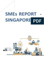 Sme Report - Final