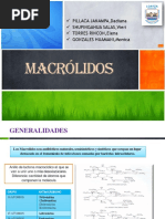 Los Macrolidos