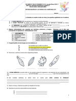 Taller REINOS Mónera, Protista y Fungi