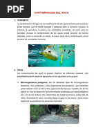 Contaminacion Del Agua