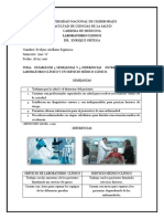 Semejanzas y Diferencias Laboratorio