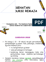 Kesehatan Reproduksi Remaja (KRR)