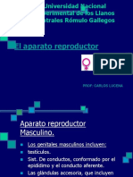 1-Elaparatoreproductor M Y F 2017