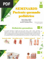 Seminario Quemados