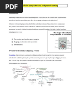 Intracellular Compartments and Protein Sorting