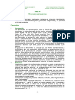 Tema 09 PDF