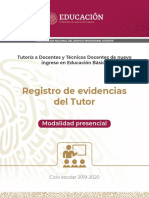 Registro de Evidencias Del Tutor PDF