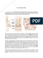 Unit - 1 Second Sem Human Anatomy Notes PDF