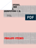 Prolaps Uterus Sistokel Dan Rektokel