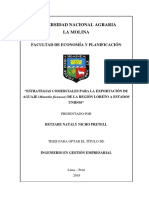 Tesis de Latino PDF