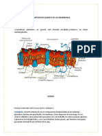 Composicion Quimica de Las Membranas Carla-Genesis