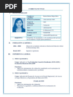 CV Documentado Pronabe