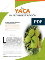 La Yaca (Artocarpus Heterophyllus Lam.) - Un Fruto de Exportación