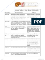 Topographical Anatomy of The Lower Limb - Listed Alphabetically