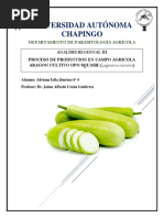 Cultivo de Opo Squash 