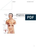 Sistemul Endocrin