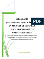 Estandares Maiìs Altos en Acciones de Defensa (Corregido+indice) PDF