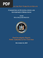 Public Authorities Investigative Report PDF