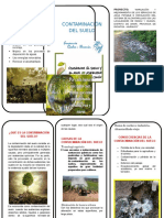 Contaminación Del Suelo