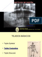 Tejidos Conjuntivos de Sostén PDF