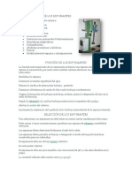 Clasificación de Los Espumantes