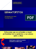 Dermatofitos