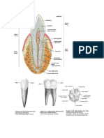 PDF Dokumen