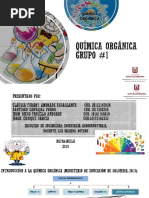 Química Orgánica EXPOSICION