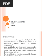 Plant Ideotype