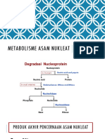 Metabolisme Asam Nukleat