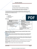 Derecho Laboral - Resumen Completo PDF