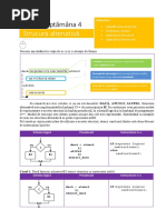 Structuri Alternative in C++