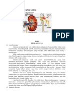 Kebutuhan Eliminasi Urine