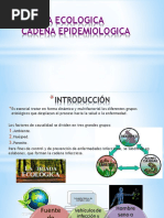 Equipo 1 Proceso Salud-Enfermedad, Triada Ecológica y Cadena Infecciosa 2019