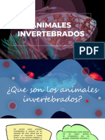 Animales Invertebrados