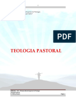 Teologia Pastoral - Copiar