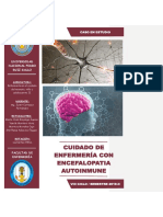 FISIOPATOLOGIA Encefalitis