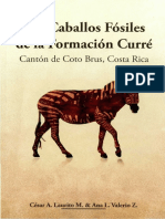 Los Caballos Fósiles de La Formación Curré