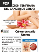 Rotafolio Cancer de Cervix y Seno