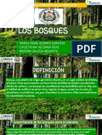 Los Bosques # 6.