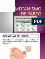 Mecanismos de Parto