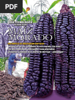 Guia Maiz Morado