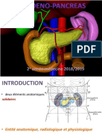 8-Bloc Duodéno Pancréas PDF