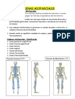 Tema 15 Cadenas Miofasciales