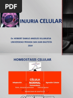 INJURIA CELULAR Dra Jara