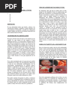 Artritis Reumatoidea Juvenil-Reumatología