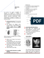 Temas Prioritarios de Patotologia Renal