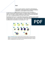 Plasmodium Ovale-08 - 08